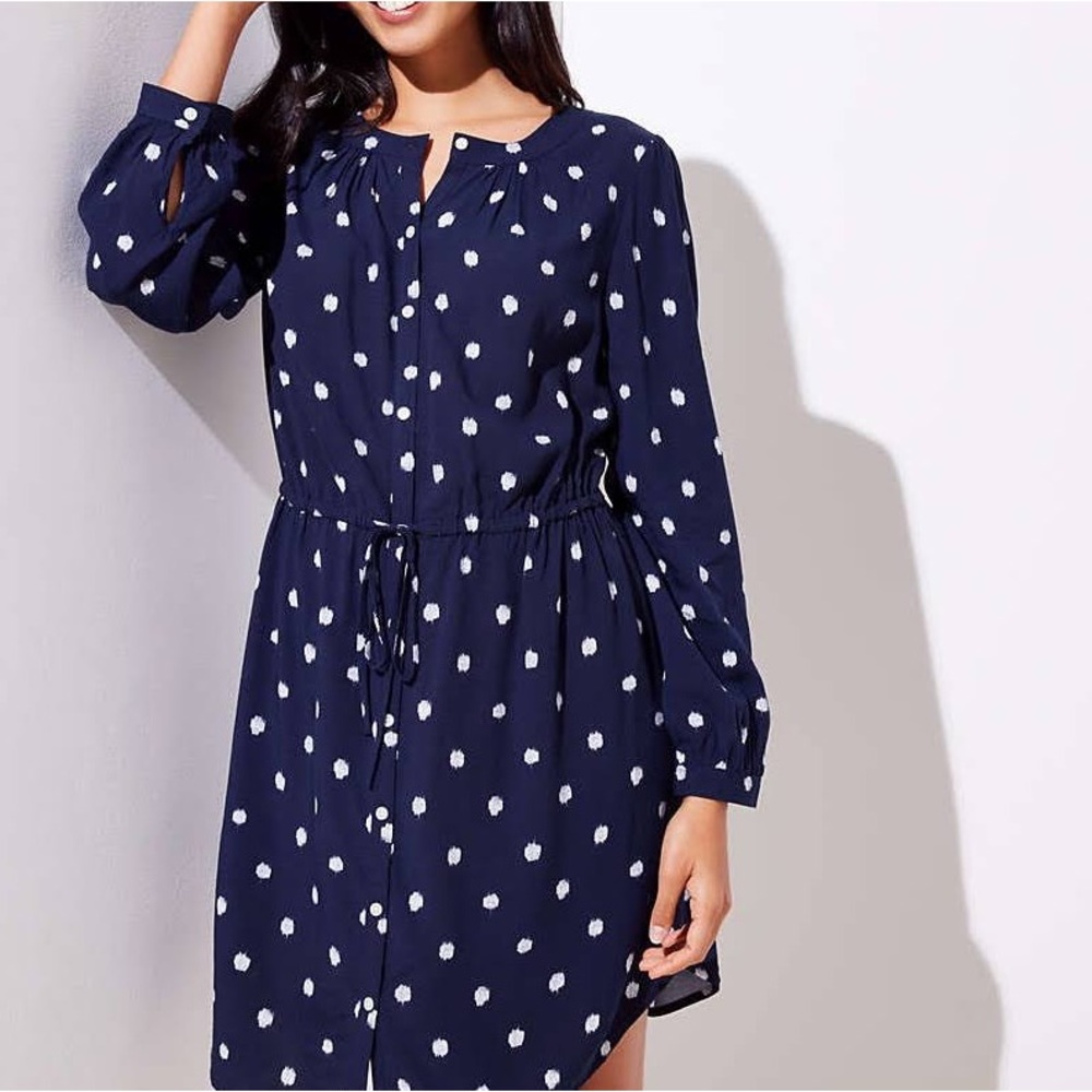 Ann Taylor Loft dress